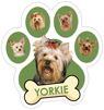 Yorkie (green) thumbnail