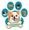 Chihuahua (teal) thumbnail