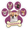 Chihuahua (purple) thumbnail