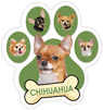 Chihuahua (green) thumbnail