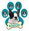 Boston (Teal) thumbnail