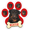 Rottie (red) thumbnail