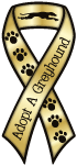 Greyhound - Adopt (gold) thumbnail