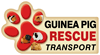 Guinea Pig Rescue Transport thumbnail