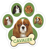 Cavalier thumbnail