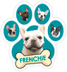 Frenchie thumbnail
