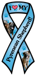 Pyrenean Shepeherd thumbnail