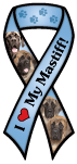 Mastiff thumbnail