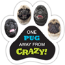 One Pug away from Crazy! thumbnail