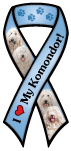 Komondor thumbnail