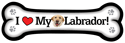 Labrador - yellow thumbnail