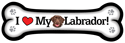 Labrador - chocolate thumbnail