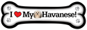 Havanese thumbnail