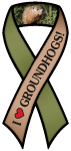 Groundhog thumbnail