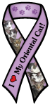 Oriental Cat thumbnail