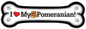 Pomeranian thumbnail