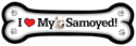 Samoyed thumbnail