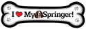 Springer Spaniel thumbnail