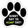 Every day is hump day thumbnail