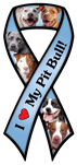Pit Bull thumbnail