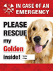 Emergency - Golden thumbnail