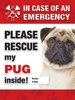 Emergency - Pug (fawn) thumbnail