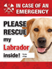 Emergency - Lab (yellow) thumbnail