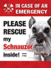 Emergency - Schnauzer thumbnail