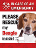 Emergency - Beagle thumbnail