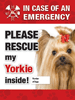 Emergency - Yorkie thumbnail