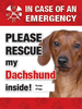 Emergency - Dachshund thumbnail