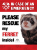 Emergency - Ferret thumbnail