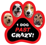 1 Dog Past Crazy thumbnail