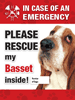 Emergency - Basset thumbnail
