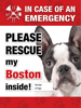 Emergency - Boston thumbnail