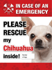 Emergency - Chihuahua thumbnail