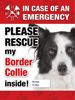 Emergency - Border Collie thumbnail