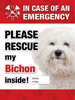 Emergency - Bichon thumbnail