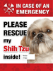 Emergency - Shih Tzu thumbnail