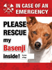 Emergency - Basenji thumbnail