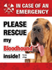Emergency - Blood Hound thumbnail