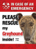 Emergency - Greyhound thumbnail