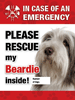 Emergency - Beardie thumbnail