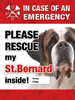 Emergency - Saint Bernard thumbnail