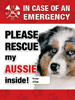 Emergency - Aussie thumbnail