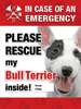 Emergency - Bull Terrier thumbnail