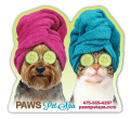 Dog and Cat with Towels thumbnail