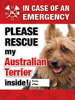 Emergency - Australian Terrier thumbnail