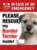 Emergency - Border Terrier thumbnail