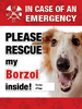 Emergency - Borzoi thumbnail